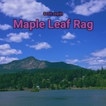 maple-perc1.jpg