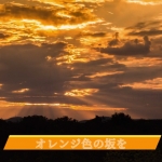 オレンジ.jpg